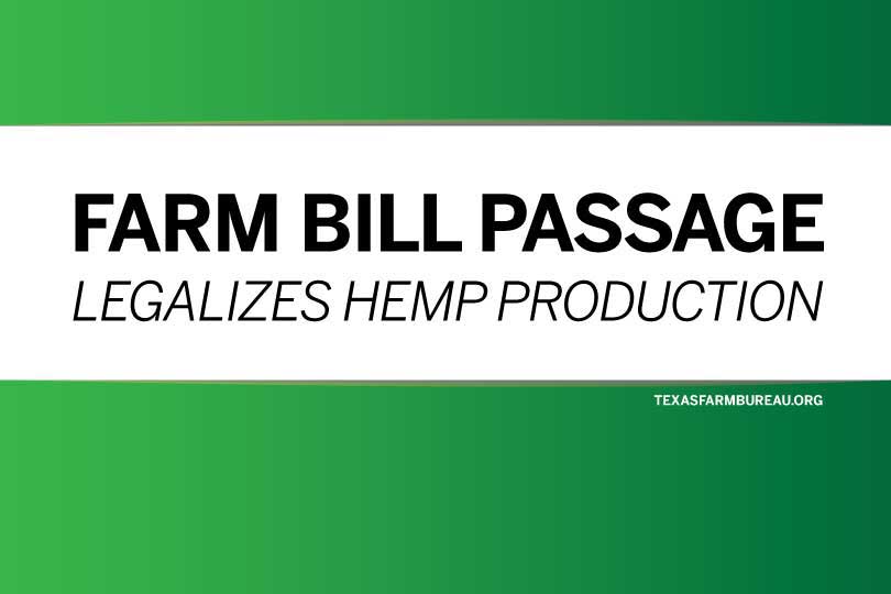 Farm bill passage legalizes hemp production Texas Farm Bureau