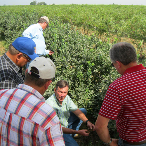 Texas Farm Bureau legislative grassroots advocacy