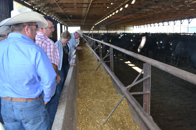 Texas Farm Bureau FarmLead Application Texas Farm Bureau FarmLead Application