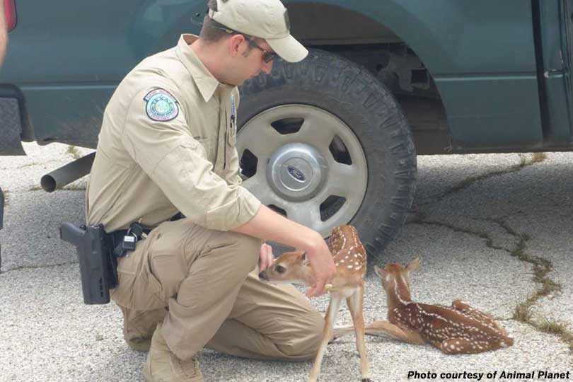 A Day in the Life of a Game Warden