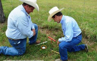 Texas Soil temperatures