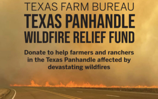 wildfire relief fund