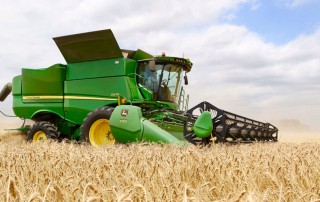 Good wheat crop hampered by low prices