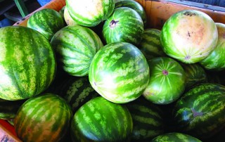 Texas watermelon