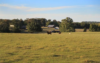 pasture rents