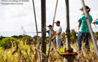 Wildlife Conservation Camp