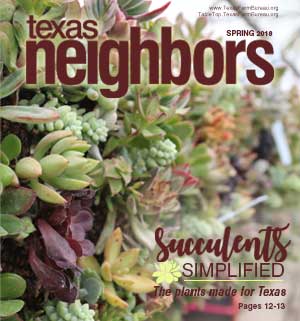 Texas Neighbors | Spring 2018