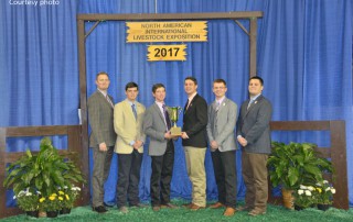 livestock judging