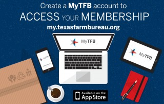 Access your membership through MyTFB