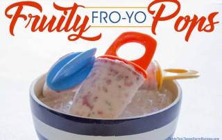Fruity Fro-Yo Pops
