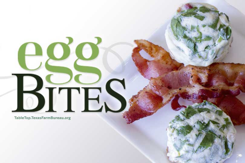 egg bites