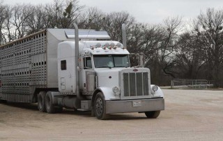 Livestock and insect haulers may have additional time to comply with the Federal Motor Carrier Administration’s (FMCSA) Electronic Logging Device (ELD) rule.