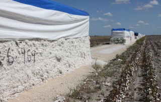 The People’s Republic of China is forecast to grow and produce less cotton this year, but it will cost buyers more if they want to meet rising demand by purchasing U.S.-grown cotton.