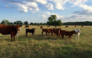 ranchers leasing workshops