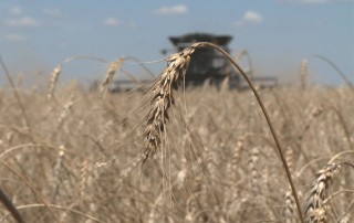 The U.S. Department of Agriculture (USDA) announced the opening of the 2019 scholarship application cycle for the USDA/1890 National Scholars Program.