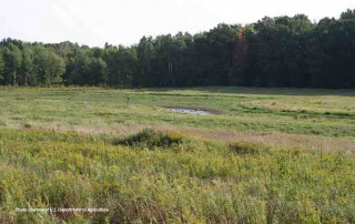 USDA’s Natural Resources Conservation Service is now accepting applications for the Agricultural Conservation Easement Program (ACEP).