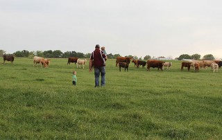 The Texas Agricultural Finance Authority (TAFA) offers a variety of programs, including the Young Farmer Grant, to assist farmers and ranchers in expanding or diversifying their operations.