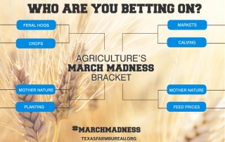 When it comes to Texas agriculture and March Madness, it’s all in the seeds. And Julie Tomascik is betting on farmers and ranchers in this bracket. Read more on Texas Table Top.