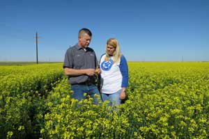 Used canola oil lately? Meet one of the Texas farmers who grows the bright yellow crop on Texas Table Top.