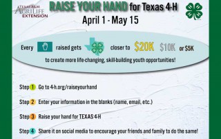 A nationwide campaign could help Texas 4-H win funds to use toward more programming.