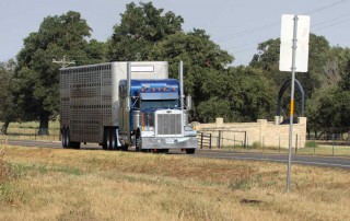 Citing concerns for livestock care and biosecurity, Texas Farm Bureau urged the Department of Transportation to give livestock haulers more flexibility in meeting certain hours of service requirements.