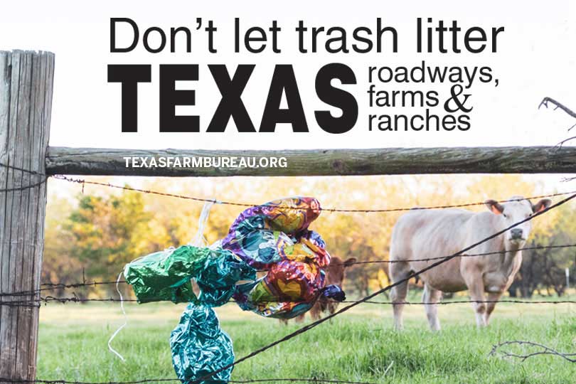 Ready for a little trash talk, Texas? Litter is a problem on our roadways and for agriculture. Especially balloons. Julie Tomascik explains on Texas Table Top.