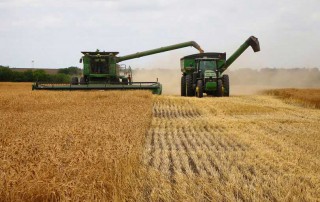 Late last week, U.S. Trade Representative Robert Lighthizer announced that a World Trade Organization dispute settlement panel found that China has administered its tariff-rate quotas for wheat, corn and rice inconsistently with its WTO commitments.