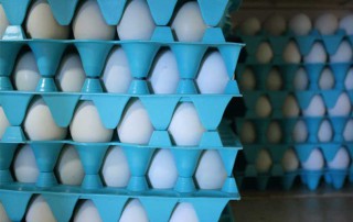 U.S. beef, poultry and egg products have gained new market access to Tunisia.