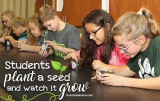 Engaging Texas students one seed at a time. It’s the goal of Texas Farm Bureau’s school visit program, and more than 36,500 students have been impacted so far this year. Jennifer Dorsett discusses cultivating agricultural literacy on Texas Table Top.
