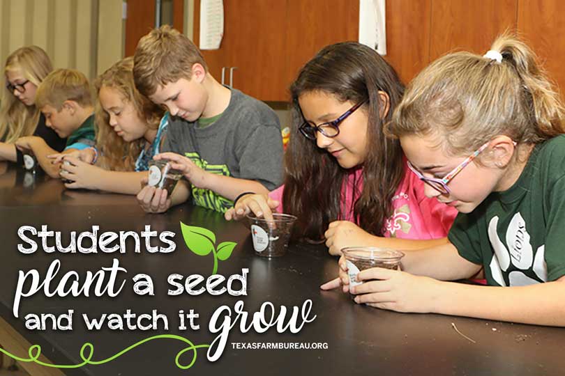 Engaging Texas students one seed at a time. It’s the goal of Texas Farm Bureau’s school visit program, and more than 36,500 students have been impacted so far this year. Jennifer Dorsett discusses cultivating agricultural literacy on Texas Table Top.