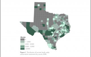 Texas landowner participation in land conservation easements add their value to agricultural production, water and wildlife addressed in a new Texas Land Trends report.