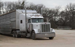 The recently reintroduced Transporting Livestock Across America Safely Act, S. 1255, addresses the challenges of transporting livestock by providing some fixes for hours of service regulations and the electronic logging device mandate.