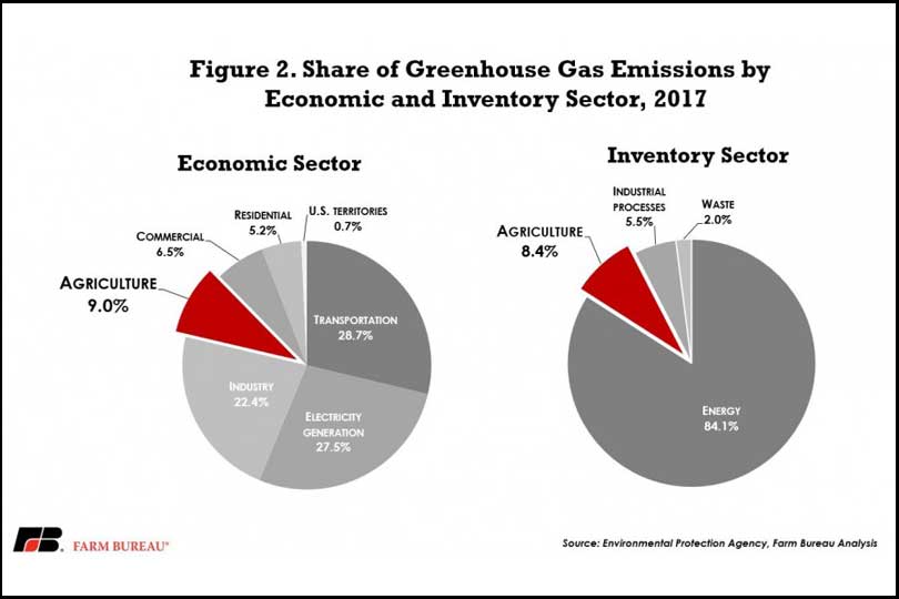 Report clears air on greenhouse gas emissions for cattle - Texas Farm Bureau