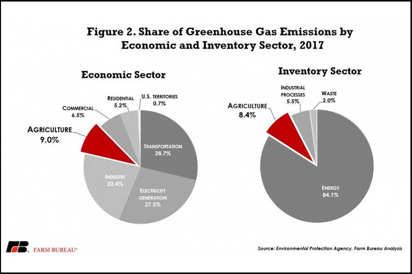 Report Clears Air On Greenhouse Gas Emissions For Cattle Texas Farm Bureau