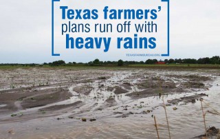 Mother Nature has proven to be a challenging business partner this spring. Continuous ranis, hailstorms, flooding and tornadoes have impacted Texas farmers and ranchers, Justin Walker says on Texas Table Top.