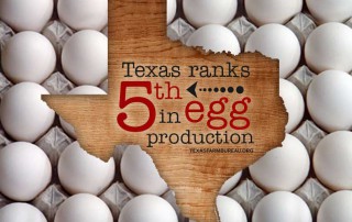 Scrambled. Fried. Sunny side up. Eggs are an egg-cellent source of protein, Jessica Domel says on Texas Table Top. And May is National Egg Month!