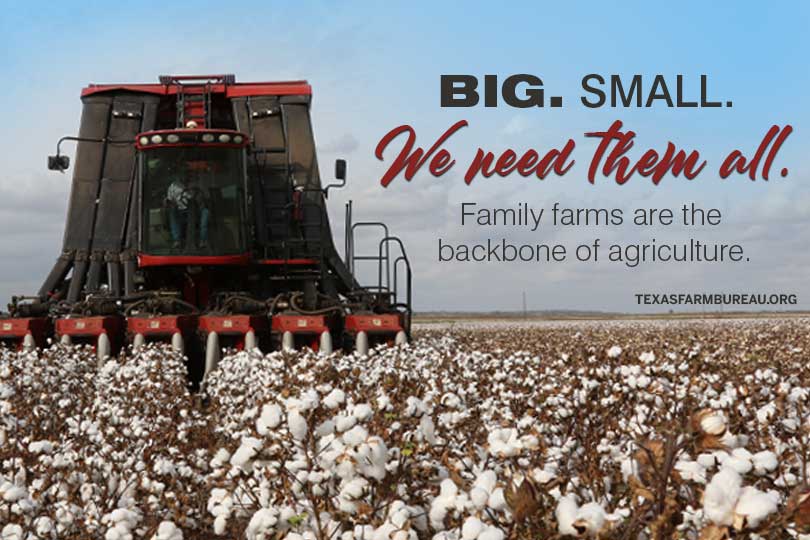 Big isn’t bad, and small isn’t better. It takes farms of all sizes, and the families behind them, to make agriculture work.