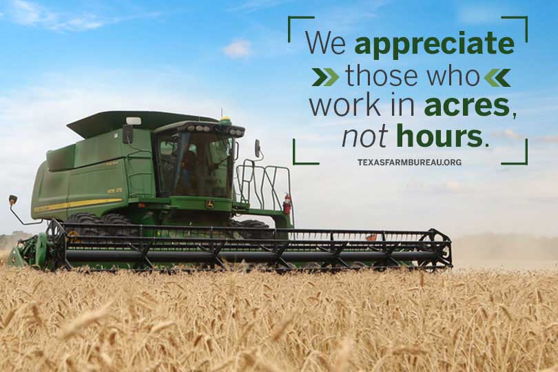 Farming and ranching isn’t easy. But despite the long hours and stress, farmers and ranchers find time to be active in their communities, schools and with their family. And they endure the market swings each year. Those are just a few of the top 10 reasons to respect farmers and ranchers.