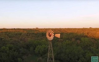 The Texas Parks and Wildlife Department’s Lone Star Land Steward Awards program recognized six private landowners this month for excellence in habitat management and wildlife conservation.