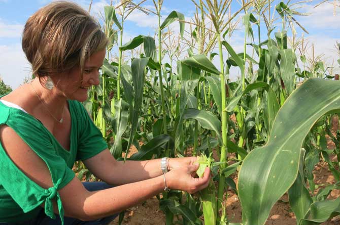 Additional one-day teacher workshops have been added to Texas Farm Bureau’s summer schedule. There will now be a total of eight free workshops for kindergarten through 12th grade teachers.