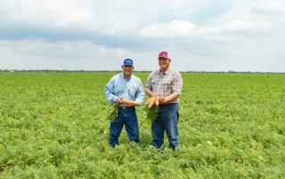 Rio Grande Valley farmers Jack Wallace and John Prukop partnered about seven years ago to grow carrots and watermelons, among other crops, on their family farms.