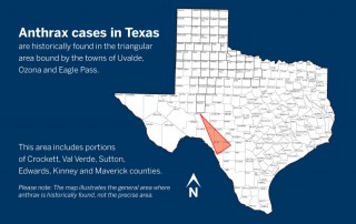 The first anthrax case of the year was confirmed in one captive antelope on a premises in Uvalde County on June 19.