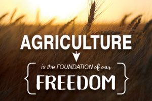Agriculture. It’s the foundation of our freedom, Jennifer Dorsett says on Texas Table Top.