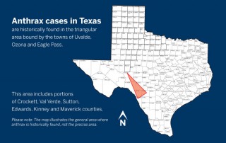 Since June 19, the Texas Animal Health Commission has received confirmation of three additional anthrax cases in the area of Texas where anthrax is historically found.
