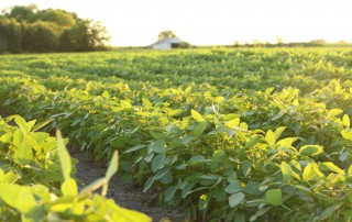 USDA awarded $100 million to 48 organizations through the Agricultural Trade Promotion Authority to help U.S. farmers and ranchers identify and access new export markets.