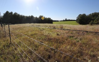 New land stewardship lessons from the Texas A&M Natural Resources Institute can help those who own or manage land.