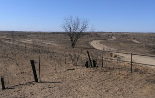 As wildfire season begins to pick up, Texas A&M AgriLife Extension Service is giving homeowners a chance to prepare for and limit wildfire damages.