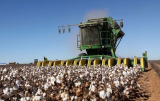 Cotton harvest is underway in the Lone Star State.
