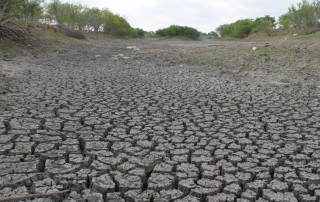 Gov. Greg Abbott issued a state of disaster in late August due to drought conditions in the Panhandle and South Texas.
