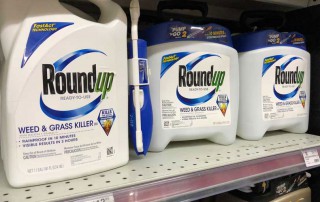 Just days before the next Roundup trial was slated to begin in Missouri, the Environmental Protection Agency sent notice to glyphosate registrants that it will no longer approve product labels claiming the herbicide causes cancer.